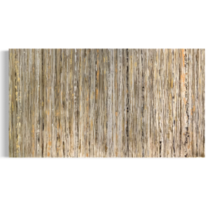 Veronica Doerner – Lineas de la Vida